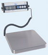 PB Pizza Scale